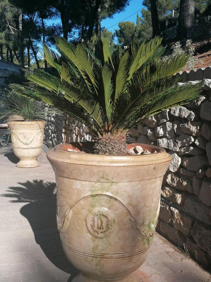 Le Mas Des Roches A Velaux Exterior photo